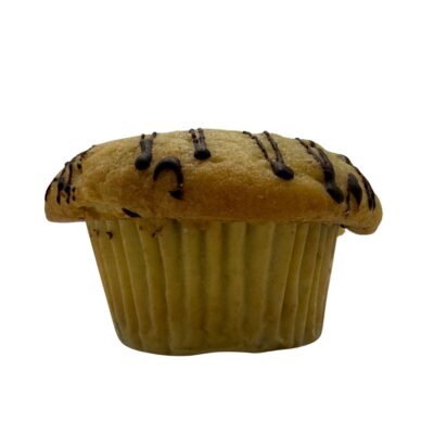 Chocolate Chip Protein Muffin